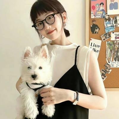 十二猴子第四季